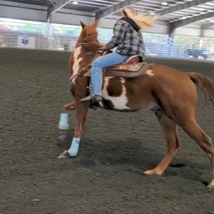 Meet your Posher, Kylee